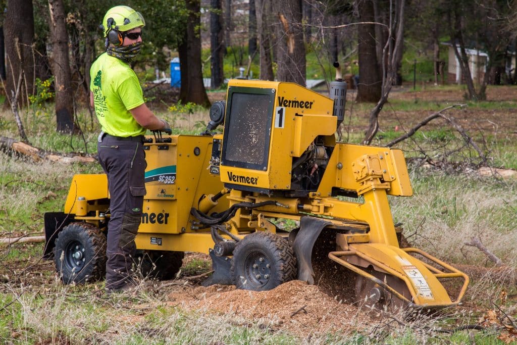How Long Does It Take to Grind a Stump? – Detailed Guide