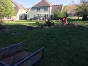 How to Plant Cedar Trees