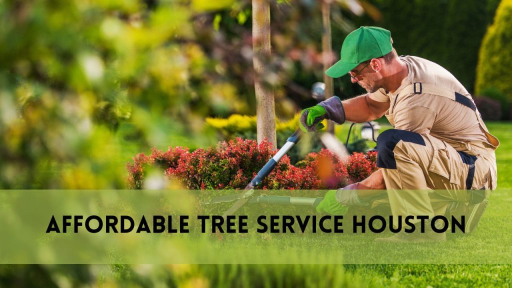 Affordable Tree Service Houston